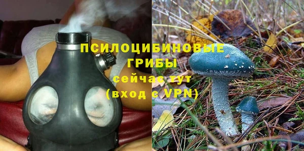 герыч Новодвинск