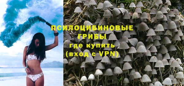 герыч Новодвинск