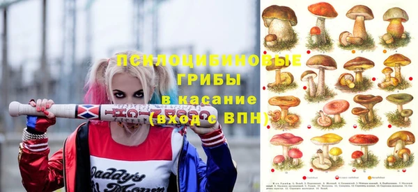 молекула духа Балахна