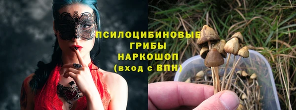 хмурый Балабаново